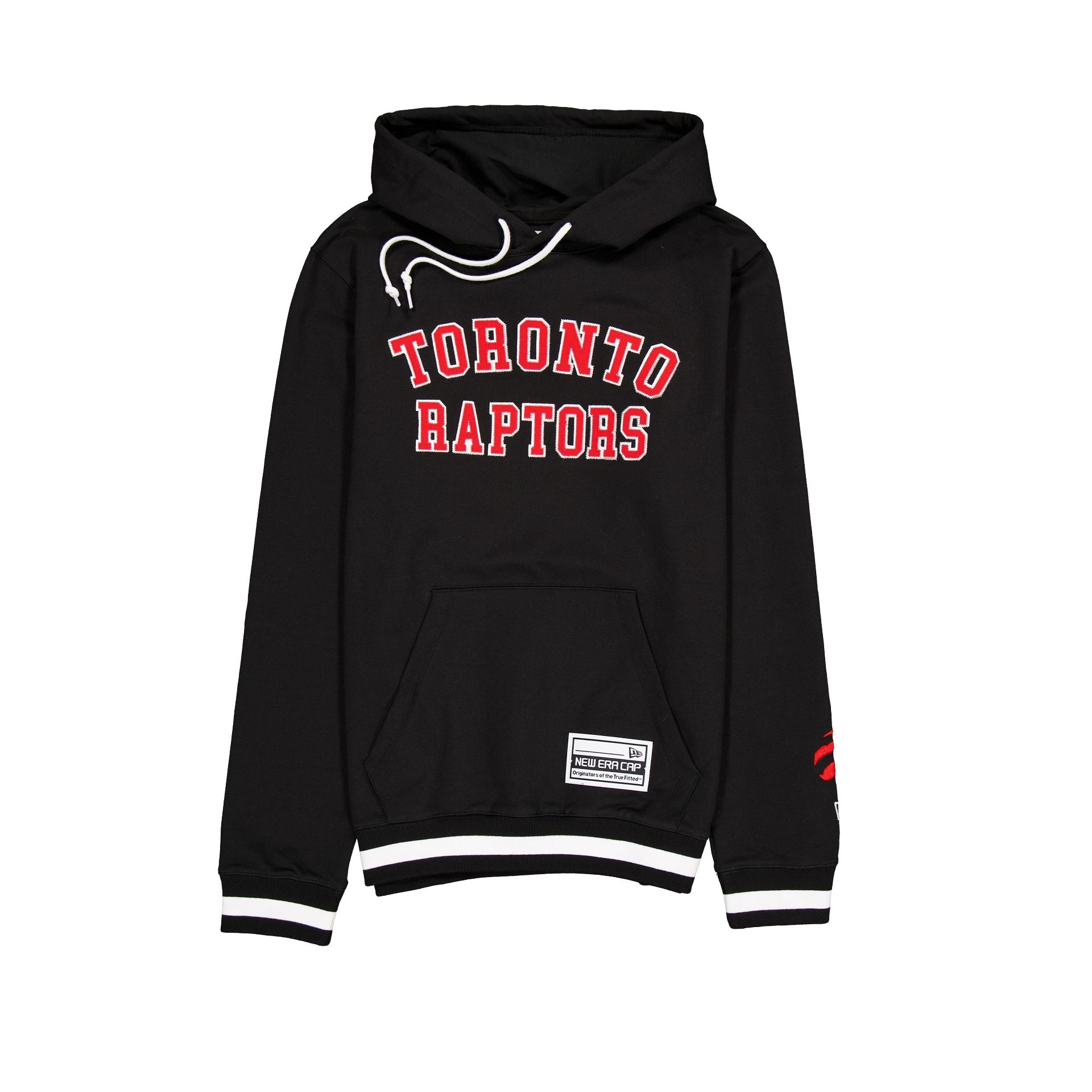 Toronto Raptors Team Color Logo Select Hoodie