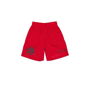 Toronto Raptors Summer Shorts